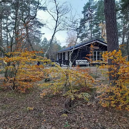 In The Forest Close To Water Hadsund