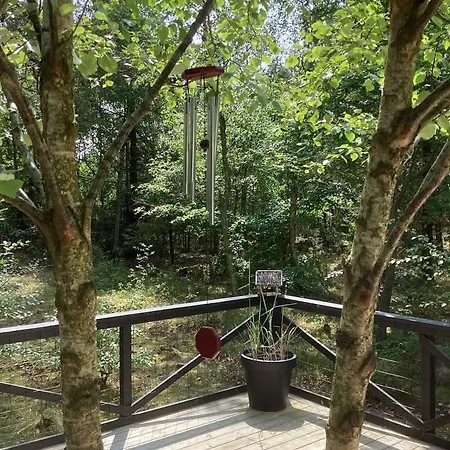 In The Forest Close To Water * Hadsund